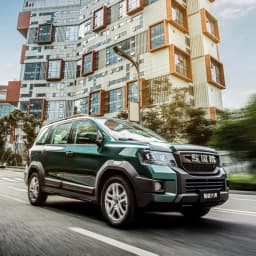 SWM G03 TIGER thumbnail 2