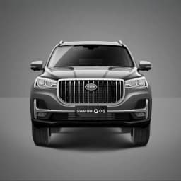 SWM G05 Luxury thumbnail 3