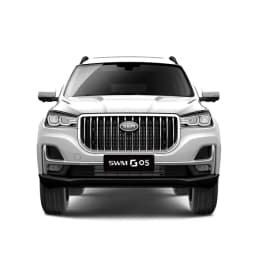 SWM G05 Luxury thumbnail 4