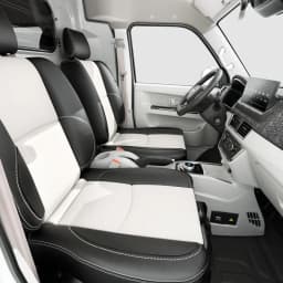 SWM X30L Electric 2 Seats thumbnail 11